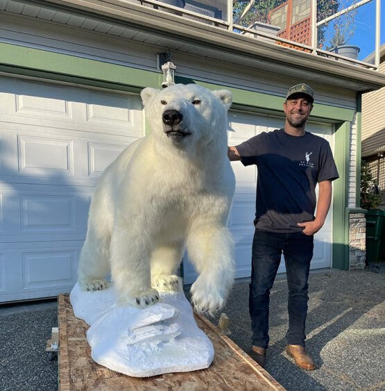 Full Mounted Polar Bear Taxidermy