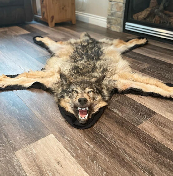 Wolf Rug With Wicked Smile